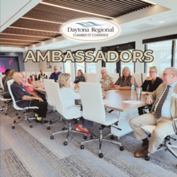 Ambassadors